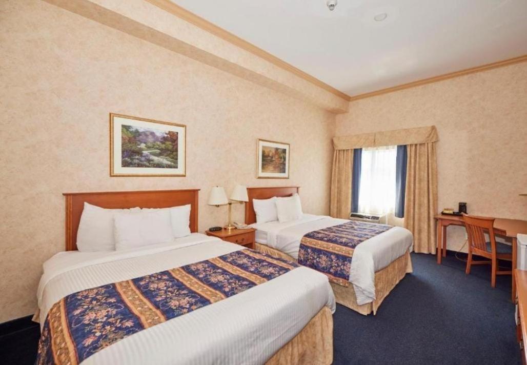Glace Stay Inn Near Igi Airport 新德里 外观 照片